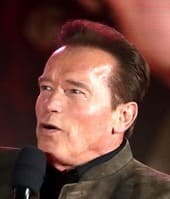 国　人種　構成