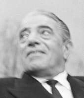 国　人種　構成