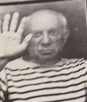 国　人種　構成