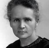 国　人種　構成