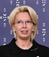 国　人種　構成